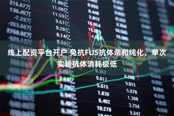 线上配资平台开户 兔抗FUS抗体亲和纯化，单次实验抗体消耗极低